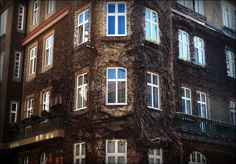 Elisabeth Old Town