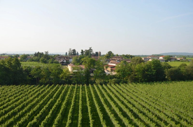 Agriturismo Villa Butussi