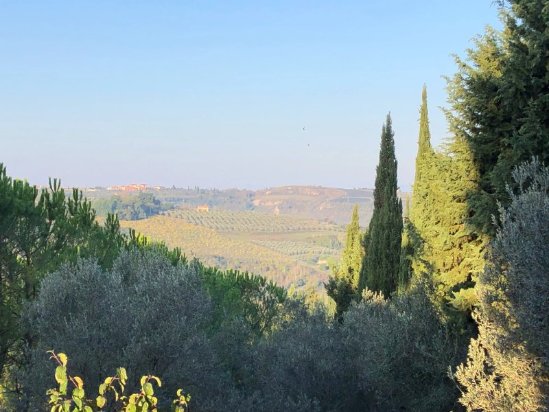 Podere Le Rondini