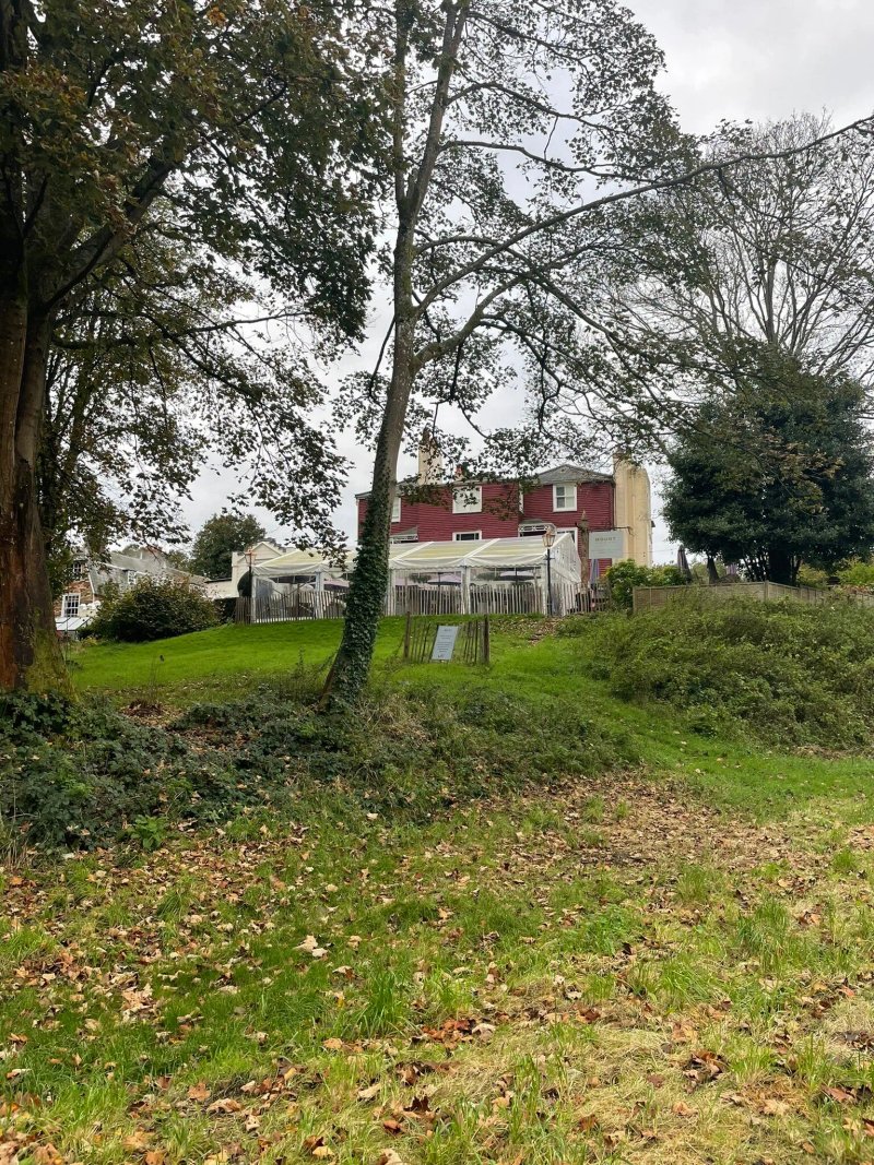 The Mount Edgcumbe