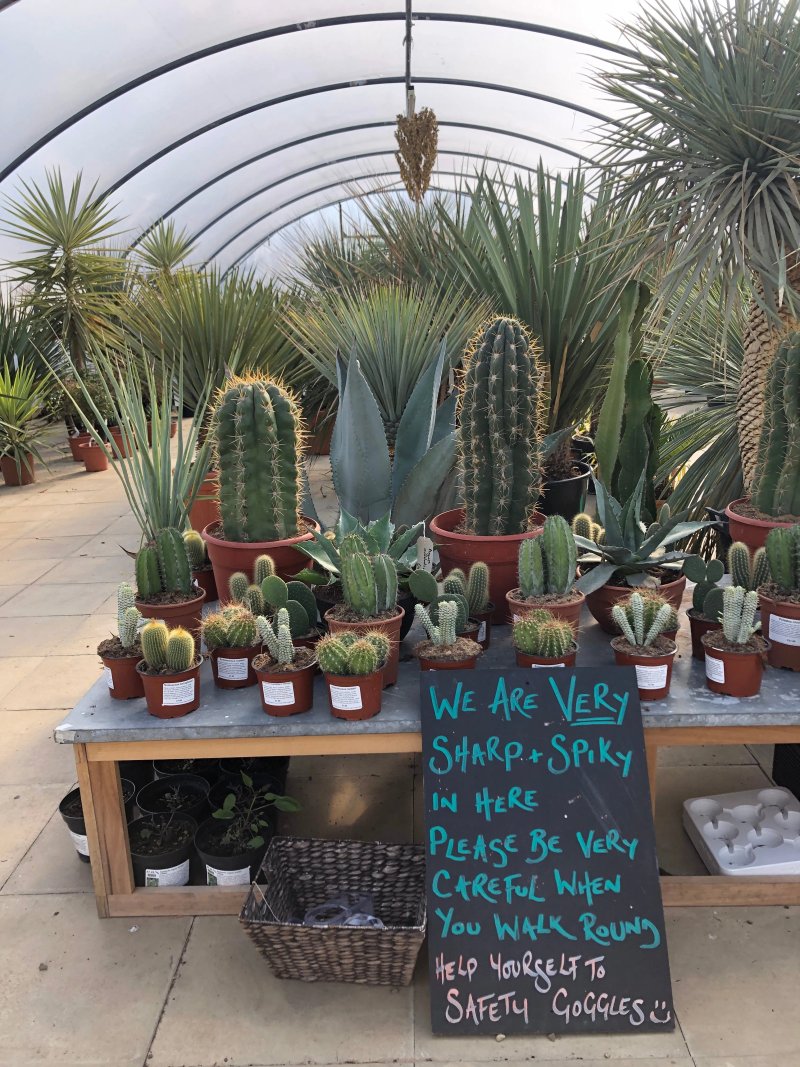Urban Jungle Cafe