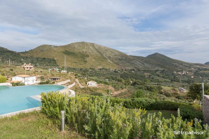 Collina degli Ulivi