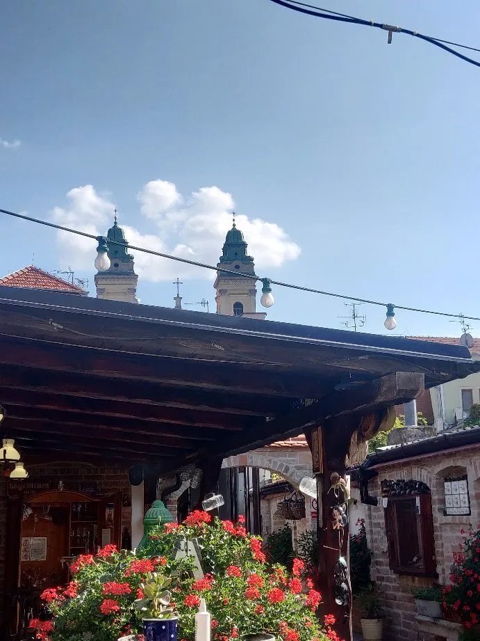 Restaurace Albero
