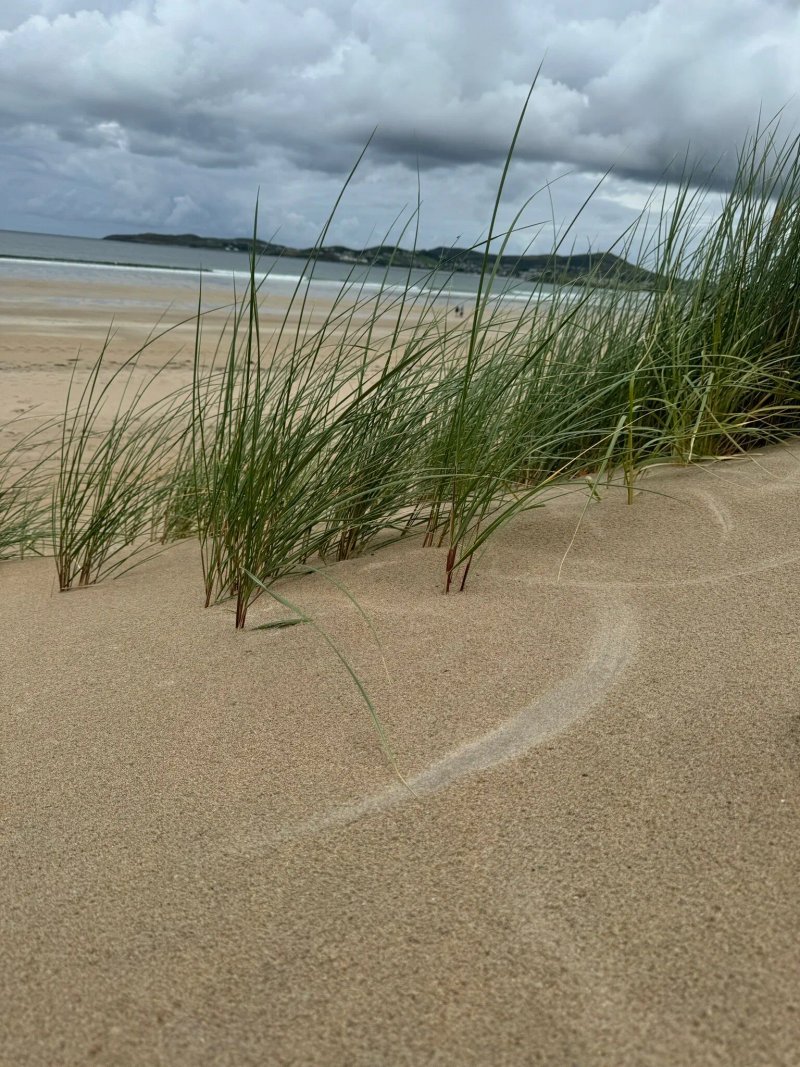 Donegal Boardwalk Resort