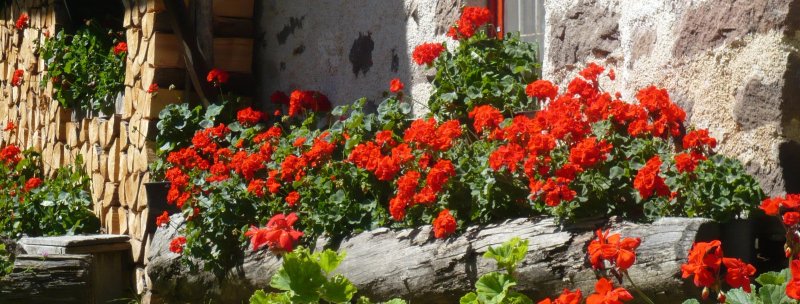 Le Caore - Ristorante e B&B
