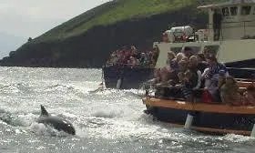 Boland's Accommodation Dingle