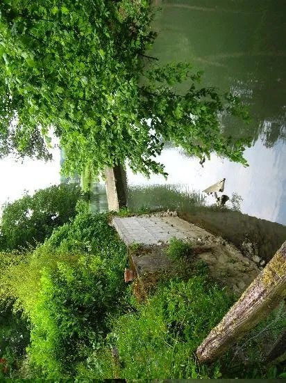 Le Moulin de Saint Martin