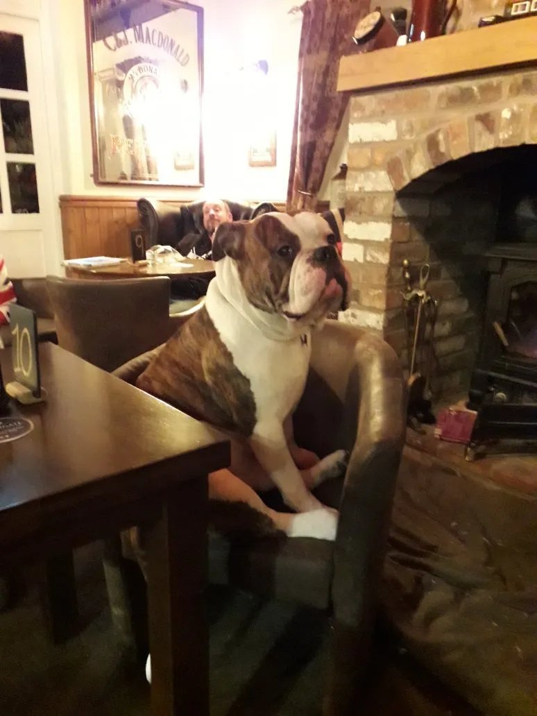 The Boat Inn Bar and Restaurant