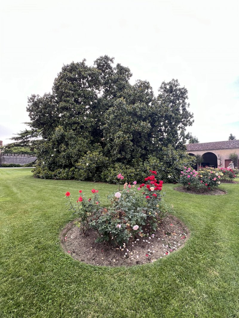 Castello di Roncade