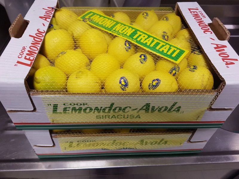 Gelateria Prima o Poi