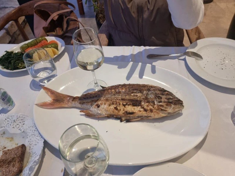 Jimmy's Fish