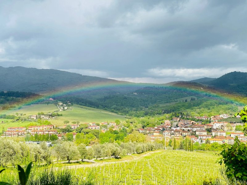 Borgo Del Cabreo