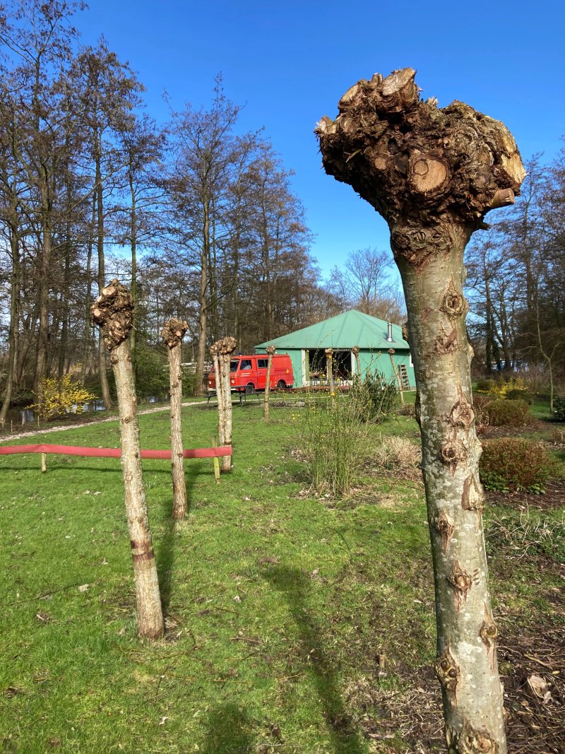Buitenhotel De Vreemde Vogel