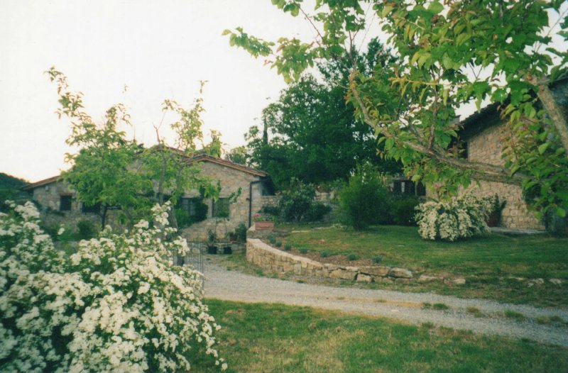 Pornanino