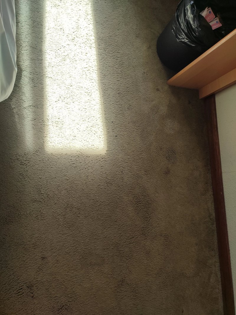 Campanile Hotel Brussel / Bruxelles - Vilvoorde