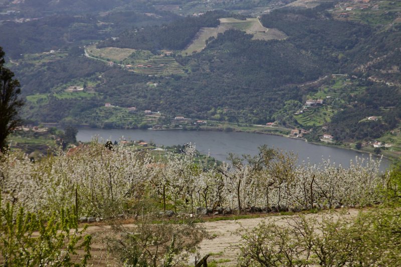 Quinta de CasalMato