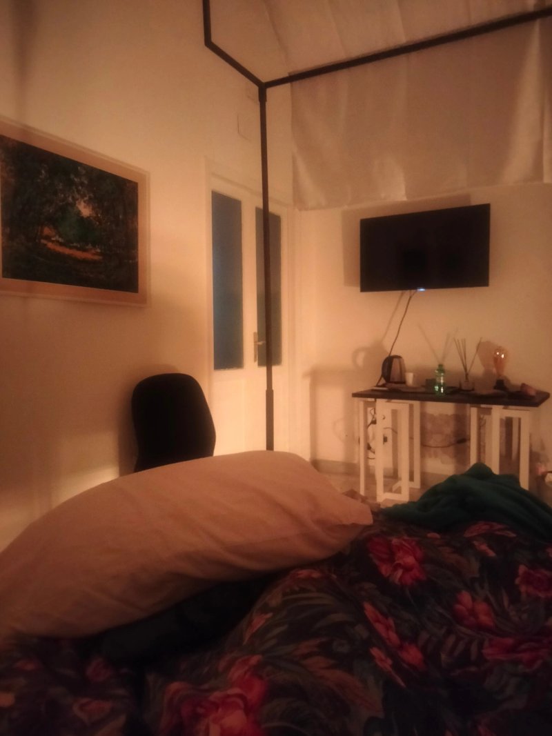 B&B Theodora