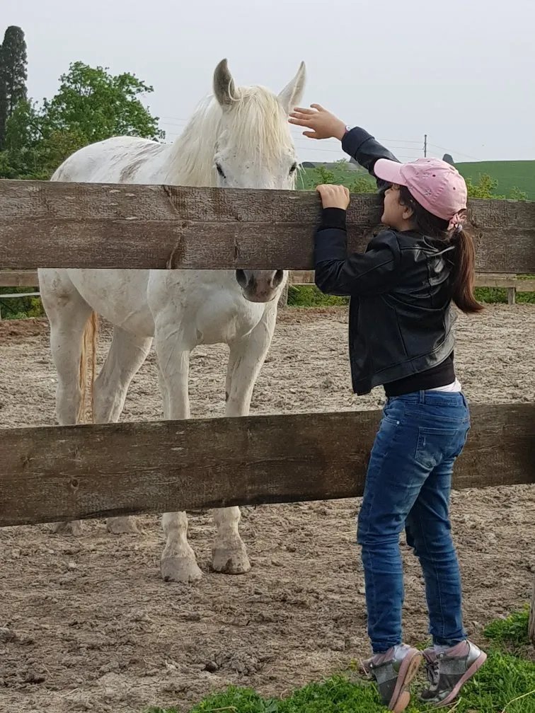 Agriturismo Podere Il Fornacino