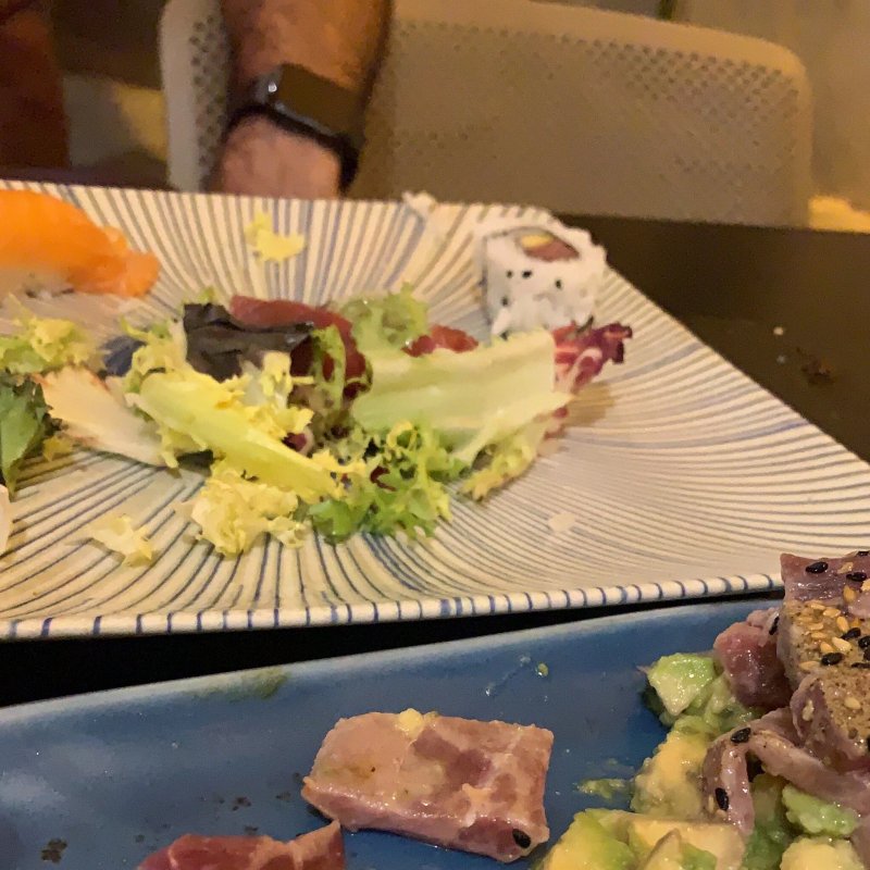 Moss Sushi-Palamos