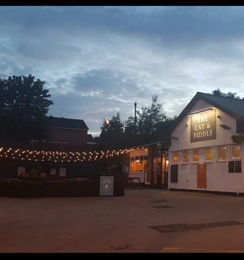 Cat and Fiddle