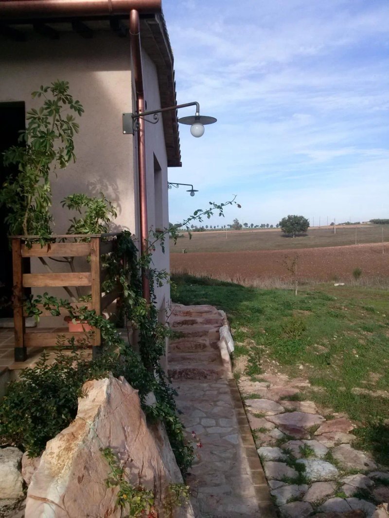 Agriturismo La Collina