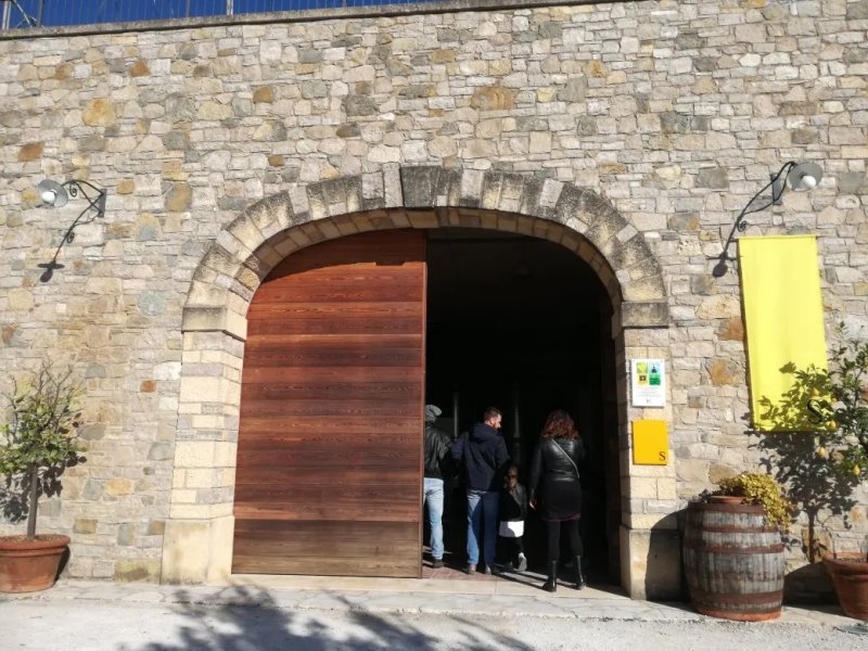Vigneto Vecio