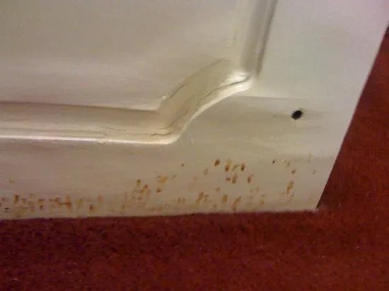 Birmingham Best Inn Hotel