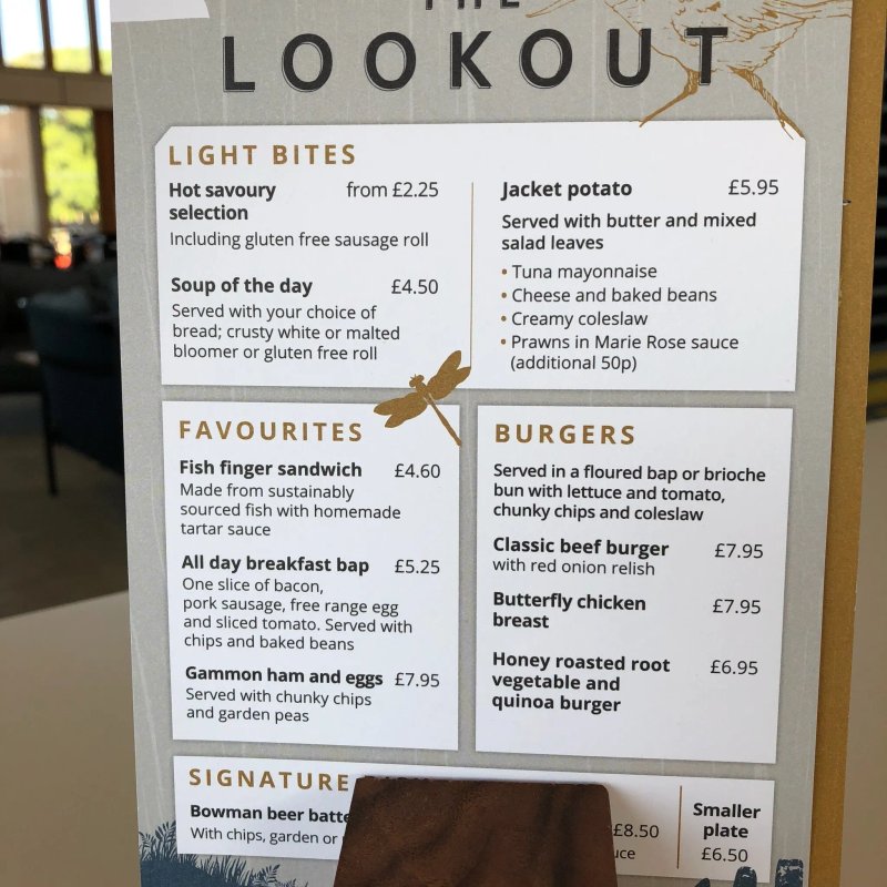 The Lookout