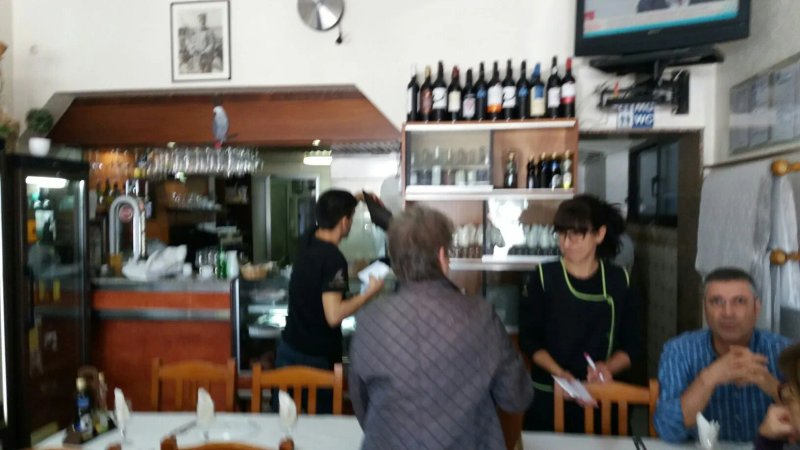 Restaurante Papagaio