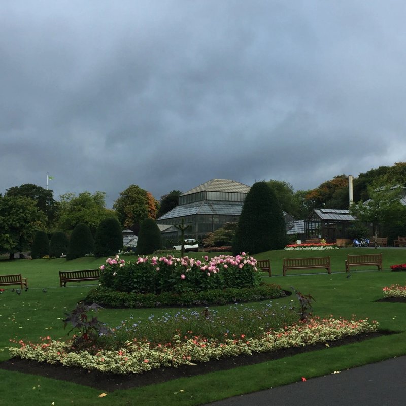 The Tearoom at The Botanics