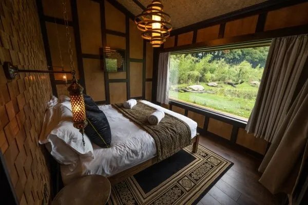 Safari Lodges At West Midlands Safari Park