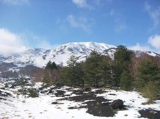 Cirasellaetna