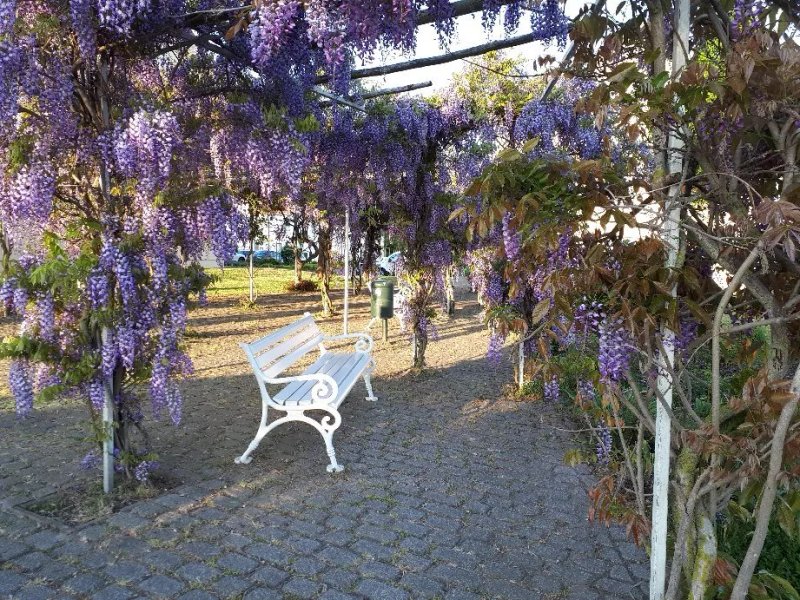 Poeler Hafen-Pavillon