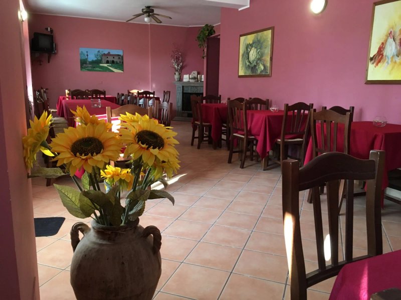 Agriturismo Casale degli Ulivi