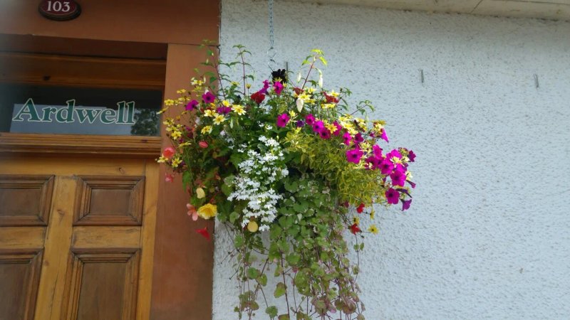Ardwell Bed & Breakfast
