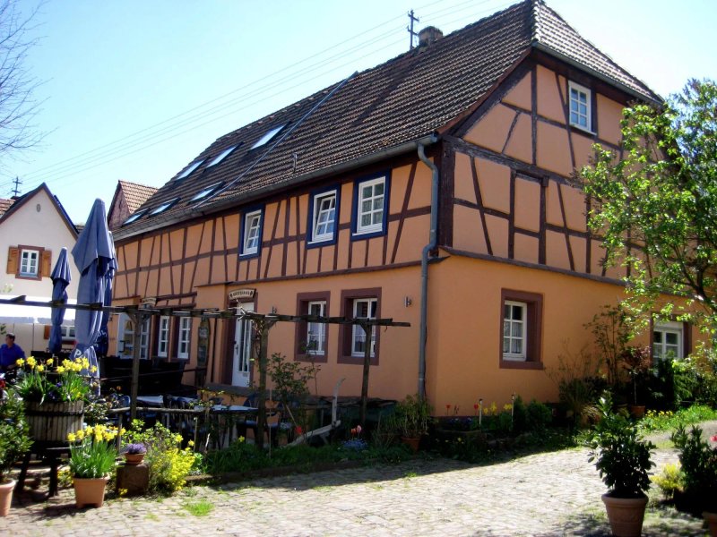 Zum Salztrippler