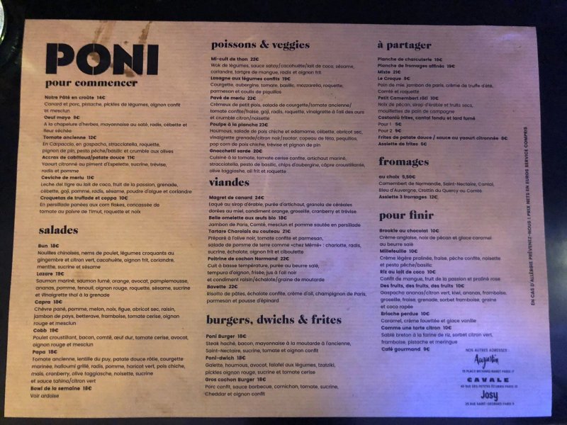Poni