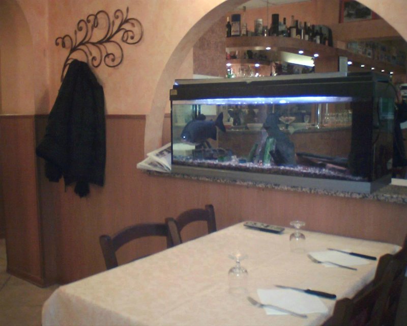 Pizzeria Trattoria Sichi Giuliano
