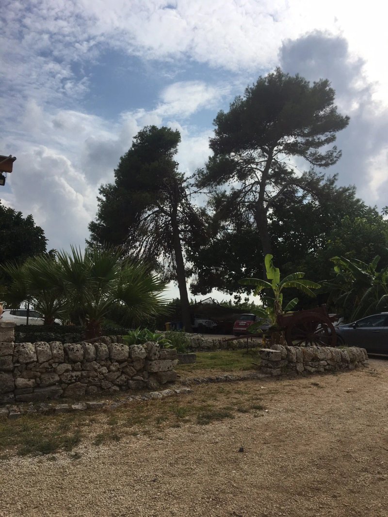 Torre Vendicari