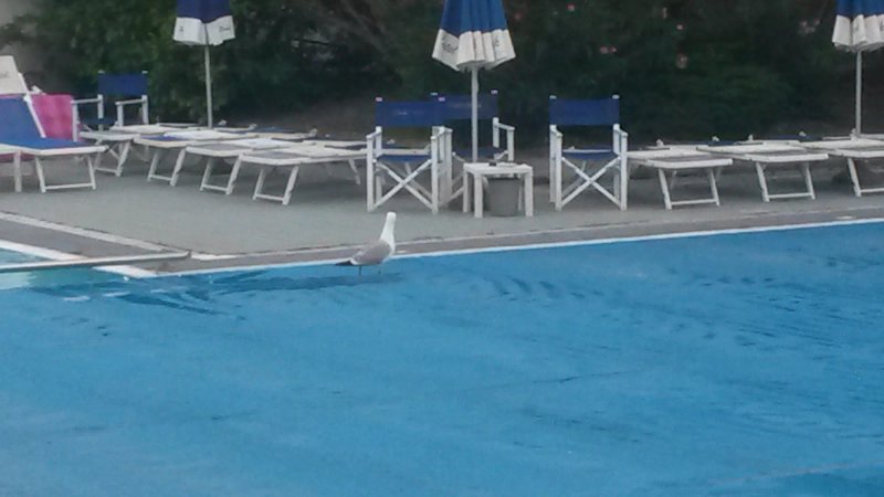 Park Hotel Zadina