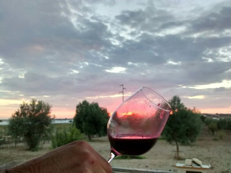 Vini Sultana
