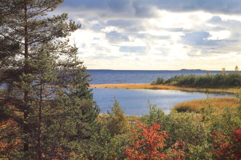 Kuivaniemi