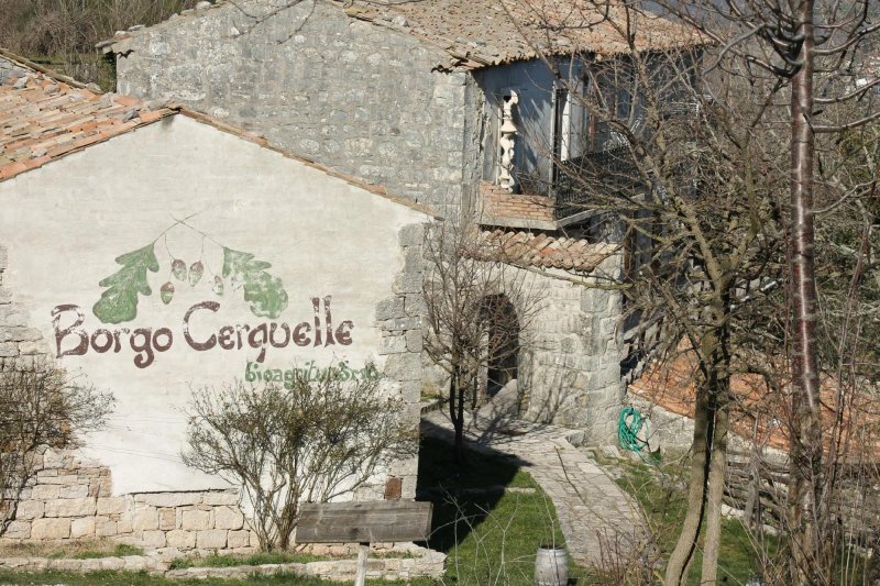 Agriturismo Borgo Cerquelle
