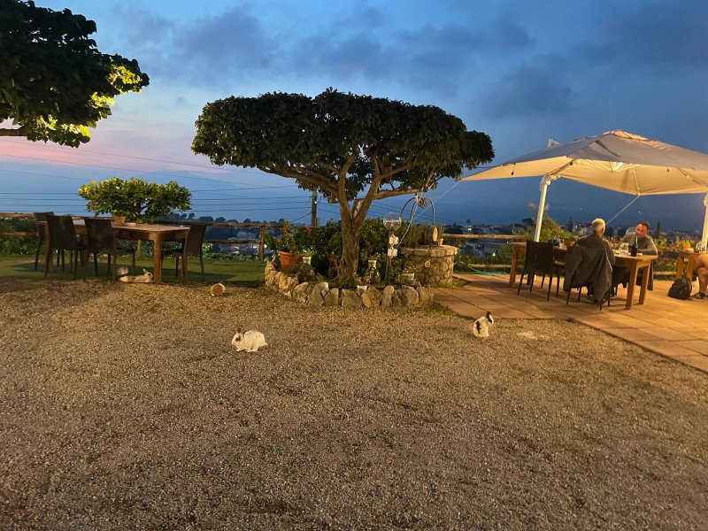 Agriturismo Del Sole