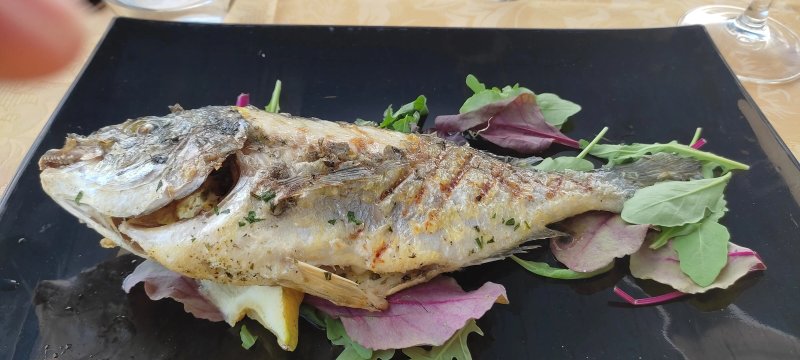 Ristorante Bellavista Tricase Porto