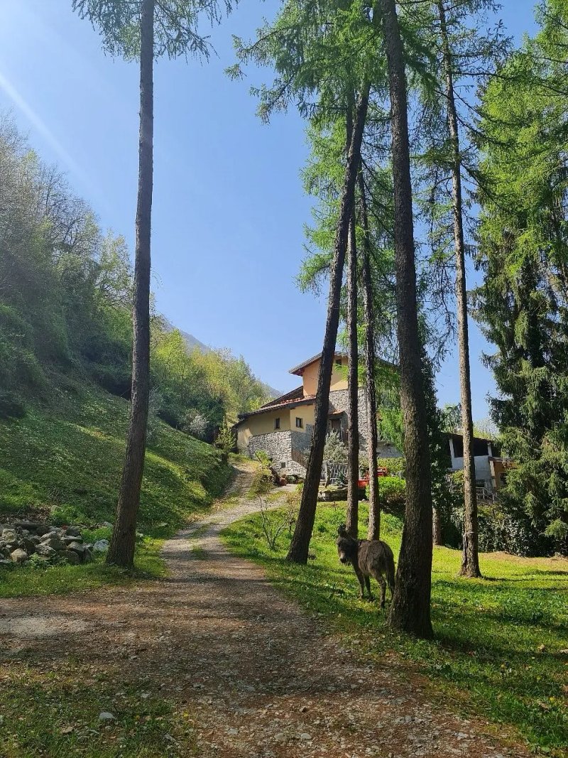 Agriturismo Madonna dei Ceppi