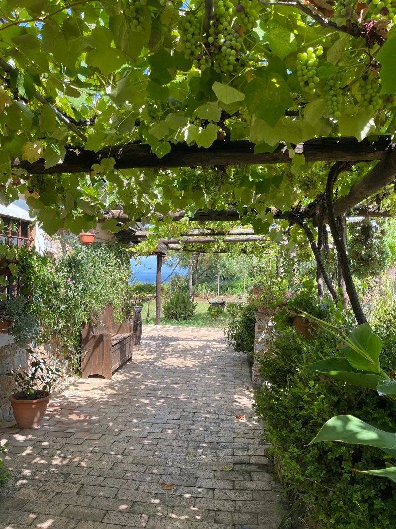 Azienda Agricola Oasi Infreschi