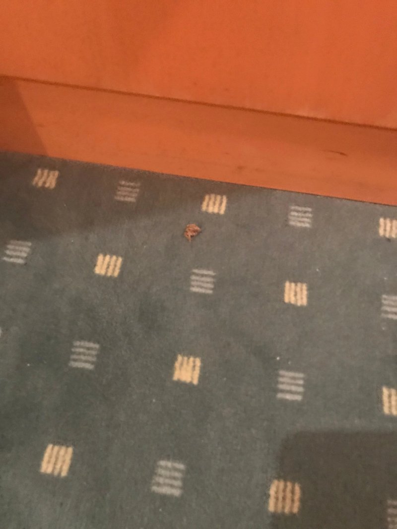 Hotel Mediterran