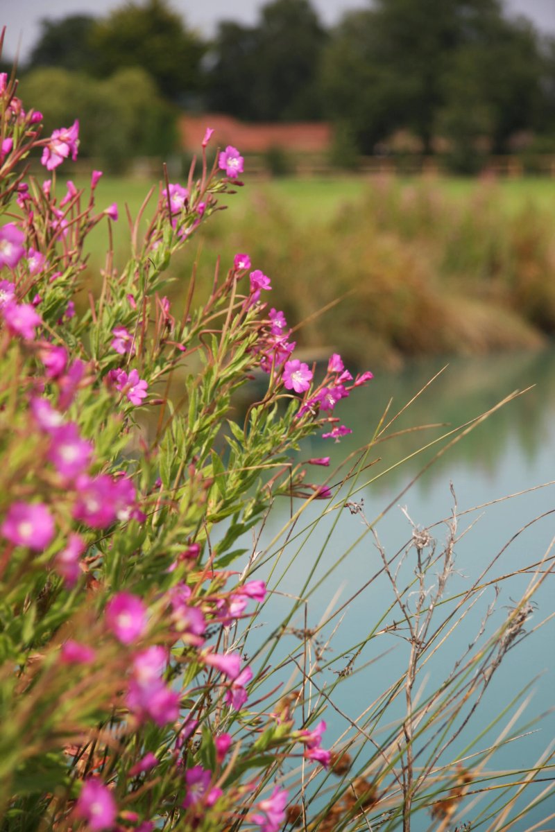 Jockhedge Holiday Cottages