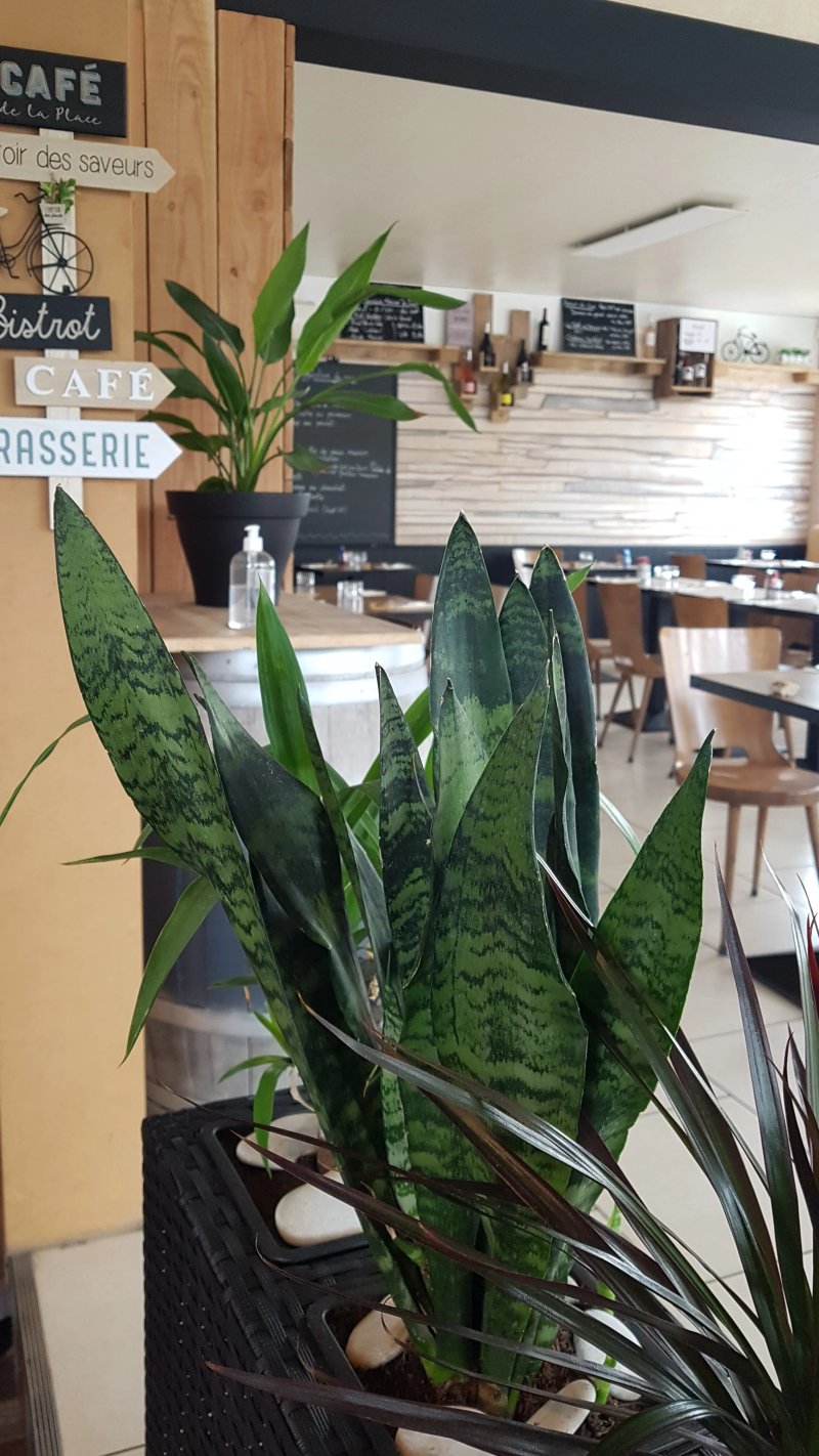 O Bistrot Gourmand